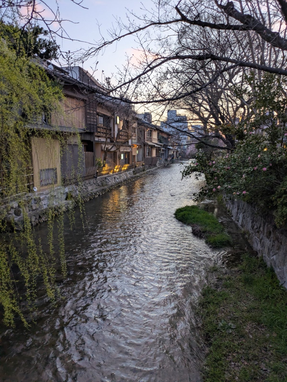 夕暮れの川沿いの町並み。築古戸建てを売るか持ち続けるか、出口を考えるイメージ